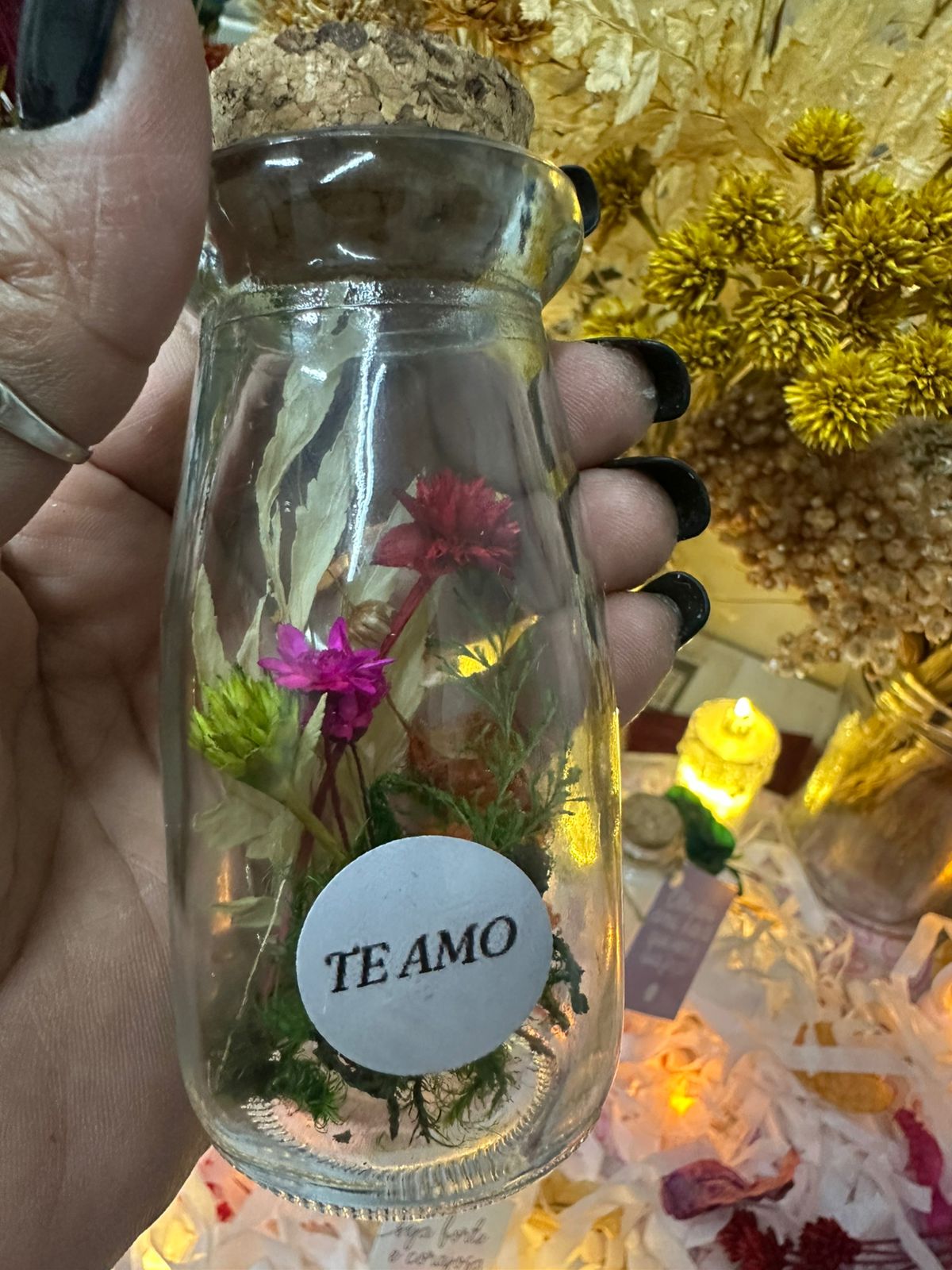 Trabalho Luz do Mundo 1